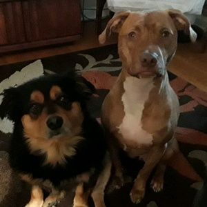 Meet your Posher, Anne marie